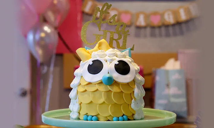 Cute “It’s a Girl” Owl Cake