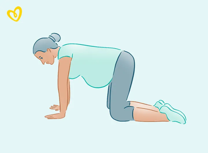 Four-point kneeling exercise