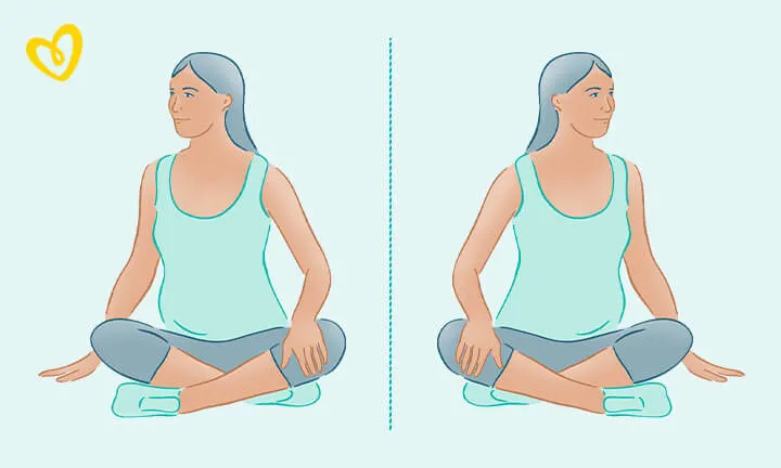 Seated trunk twist exercise